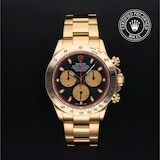 Rolex Rolex Certified Pre-Owned Cosmograph Daytona