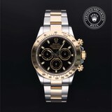 Rolex Rolex Certified Pre-Owned Cosmograph Daytona