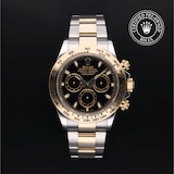 Rolex Rolex Certified Pre-Owned Cosmograph Daytona