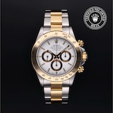 Rolex Rolex Certified Pre-Owned Cosmograph Daytona