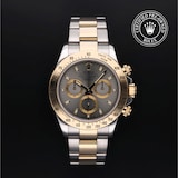 Rolex Rolex Certified Pre-Owned Cosmograph Daytona