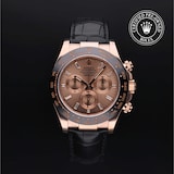 Rolex Rolex Certified Pre-Owned Cosmograph Daytona