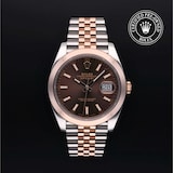 Rolex Rolex Certified Pre-Owned Datejust 41