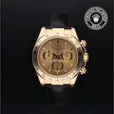 Rolex Rolex Certified Pre-Owned Cosmograph Daytona