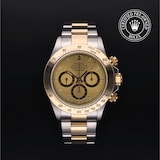 Rolex Rolex Certified Pre-Owned Cosmograph Daytona