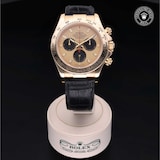 Rolex Rolex Certified Pre-Owned Cosmograph Daytona