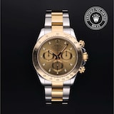 Rolex Rolex Certified Pre-Owned Cosmograph Daytona