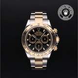 Rolex Rolex Certified Pre-Owned Cosmograph Daytona