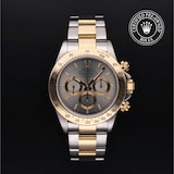 Rolex Rolex Certified Pre-Owned Cosmograph Daytona