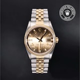 Rolex Rolex Certified Pre-Owned Datejust 36