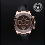 Rolex Rolex Certified Pre-Owned Cosmograph Daytona