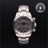 Rolex Rolex Certified Pre-Owned Cosmograph Daytona