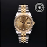 Rolex Rolex Certified Pre-Owned Datejust 36