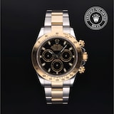 Rolex Rolex Certified Pre-Owned Cosmograph Daytona