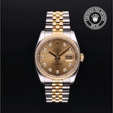 Rolex Rolex Certified Pre-Owned Datejust 36