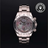 Rolex Rolex Certified Pre-Owned Cosmograph Daytona