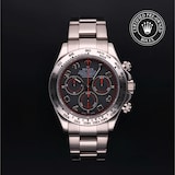 Rolex Rolex Certified Pre-Owned Cosmograph Daytona