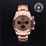 Rolex Rolex Certified Pre-Owned Cosmograph Daytona