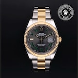 Rolex Rolex Certified Pre-Owned Datejust 41