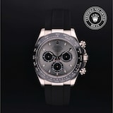 Rolex Rolex Certified Pre-Owned Cosmograph Daytona