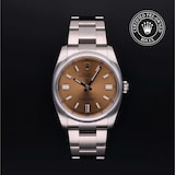 Rolex Rolex Certified Pre-Owned Oyster Perpetual 36