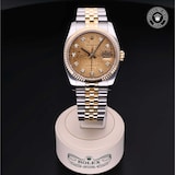 Rolex Rolex Certified Pre-Owned Datejust 36