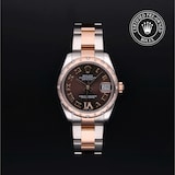 Rolex Rolex Certified Pre-Owned Datejust 31