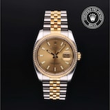 Rolex Rolex Certified Pre-Owned Datejust 36