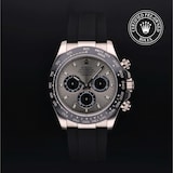 Rolex Rolex Certified Pre-Owned Cosmograph Daytona