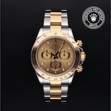 Rolex Rolex Certified Pre-Owned Cosmograph Daytona