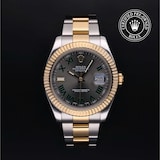 Rolex Rolex Certified Pre-Owned Datejust II