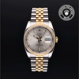 Rolex Rolex Certified Pre-Owned Datejust 36