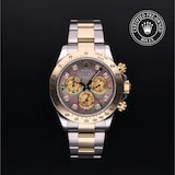 Rolex Rolex Certified Pre-Owned Cosmograph Daytona