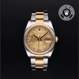 Rolex Rolex Certified Pre-Owned Datejust 36