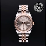 Rolex Rolex Certified Pre-Owned Datejust 36