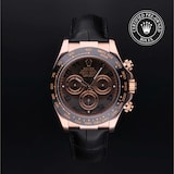 Rolex Rolex Certified Pre-Owned Cosmograph Daytona