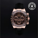 Rolex Rolex Certified Pre-Owned Cosmograph Daytona