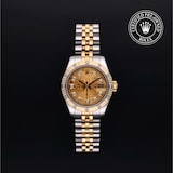 Rolex Rolex Certified Pre-Owned Lady-Datejust 26