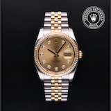 Rolex Rolex Certified Pre-Owned Datejust 36