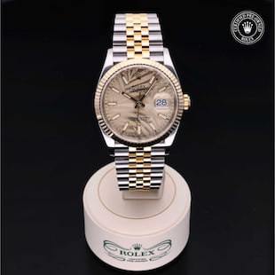 Rolex Certified Pre-Owned Datejust 36 Rolex Certified Pre-Owned Datejust 36