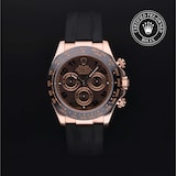 Rolex Rolex Certified Pre-Owned Cosmograph Daytona