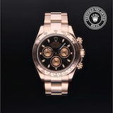 Rolex Rolex Certified Pre-Owned Cosmograph Daytona