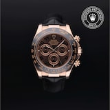 Rolex Rolex Certified Pre-Owned Cosmograph Daytona