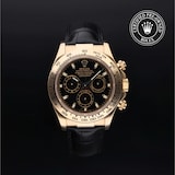 Rolex Rolex Certified Pre-Owned Cosmograph Daytona