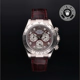 Rolex Rolex Certified Pre-Owned Cosmograph Daytona