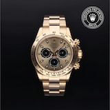 Rolex Rolex Certified Pre-Owned Cosmograph Daytona