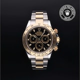 Rolex Rolex Certified Pre-Owned Cosmograph Daytona