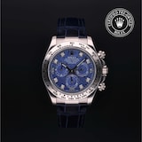 Rolex Rolex Certified Pre-Owned Cosmograph Daytona