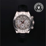 Rolex Rolex Certified Pre-Owned Cosmograph Daytona