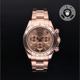 Rolex Rolex Certified Pre-Owned Cosmograph Daytona